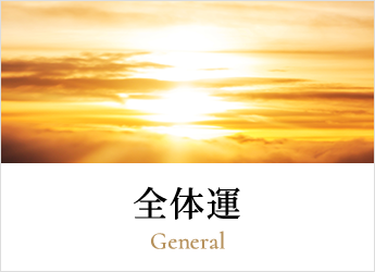 全体運