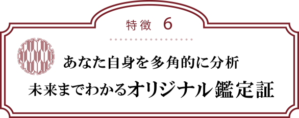 特徴６：あなた自身を多角的に分析未来までわかるオリジナル鑑定証